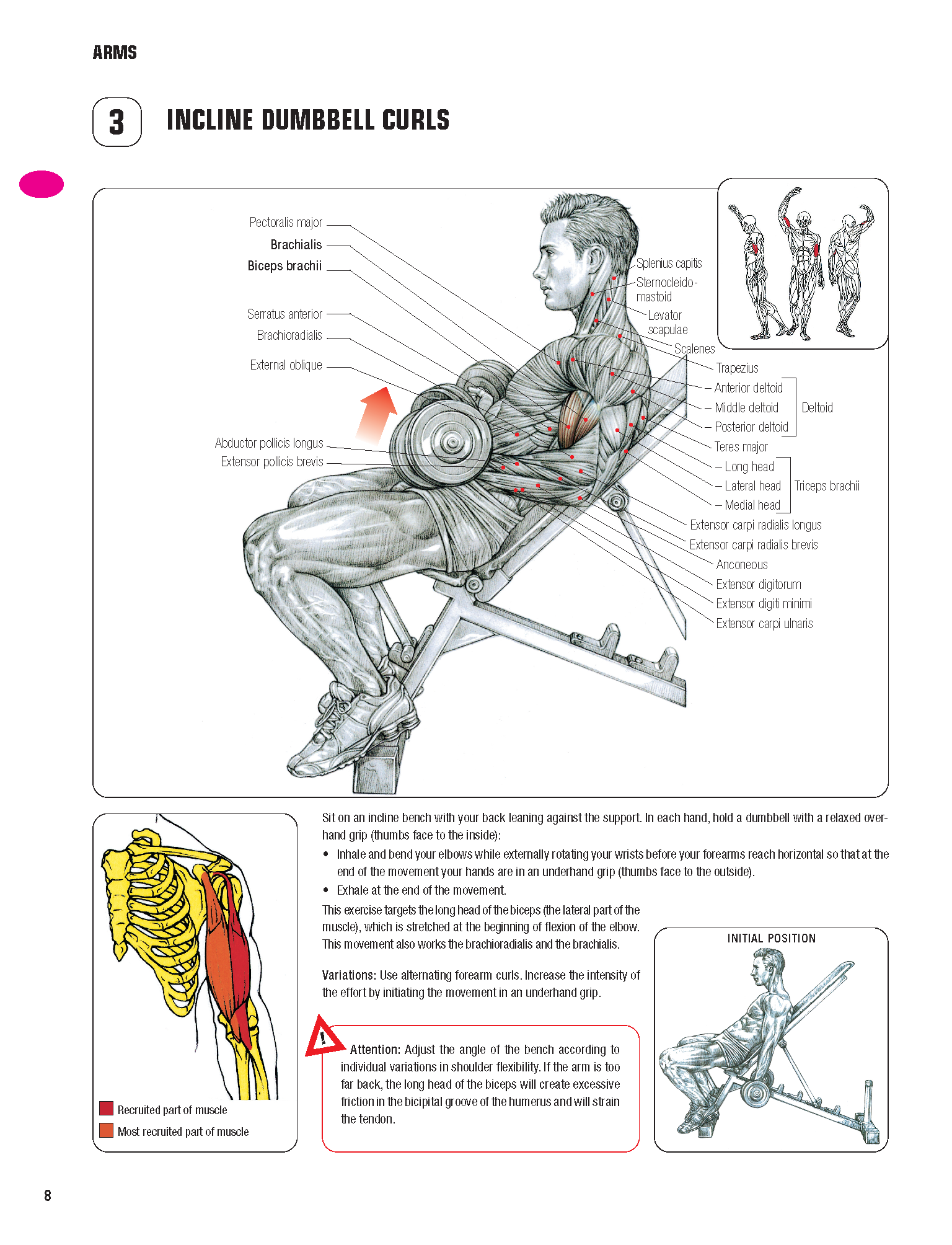 strength training anatomy 4th edition